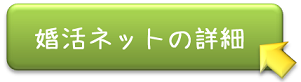 ネット婚活の詳細