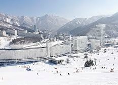 �V�����̌������k��